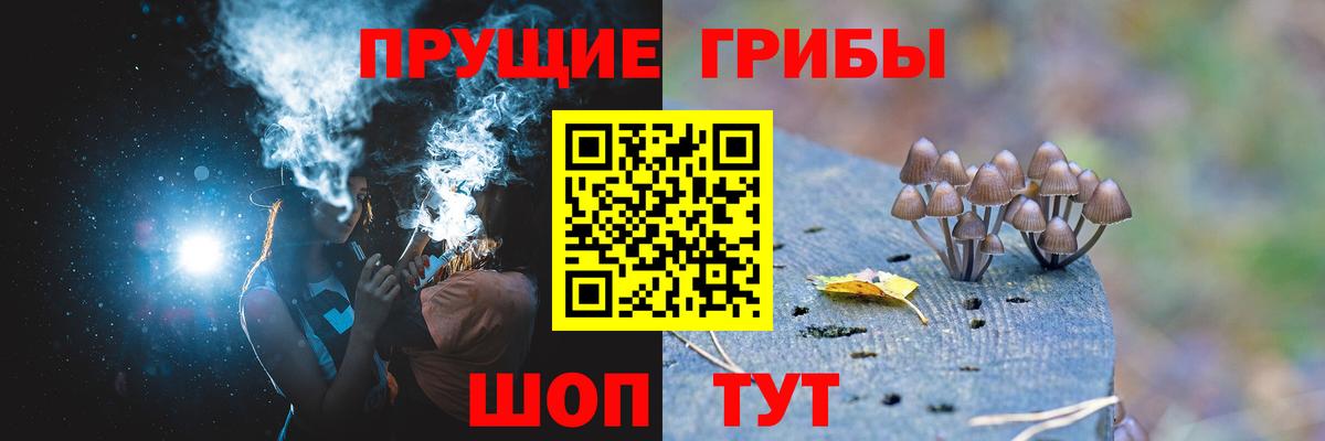 Фурманов  Галлюциногенные грибы мухоморы  Вход с VPN  Псилоцибиновые грибы Psilocybine cubensis 